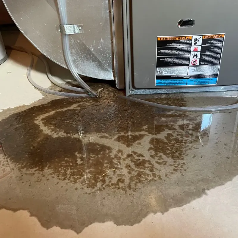 Pipe Burst and Leak Restoration in Hanover, NJ